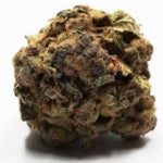 featured-image-weed-blog-151kb8L0FwF