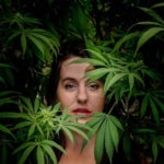 featured-image-weed-blog-180C-0YpF-D