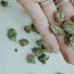 featured-image-weed-blog-217WnNhyPOP
