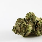featured-image-medical-marijuana-182Hk8UNfqn