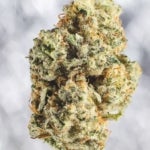 featured-image-medical-marijuana-6OaMcep9i