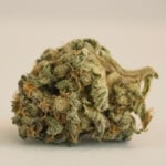 featured-image-weed-blog-105Iq8wWfcm