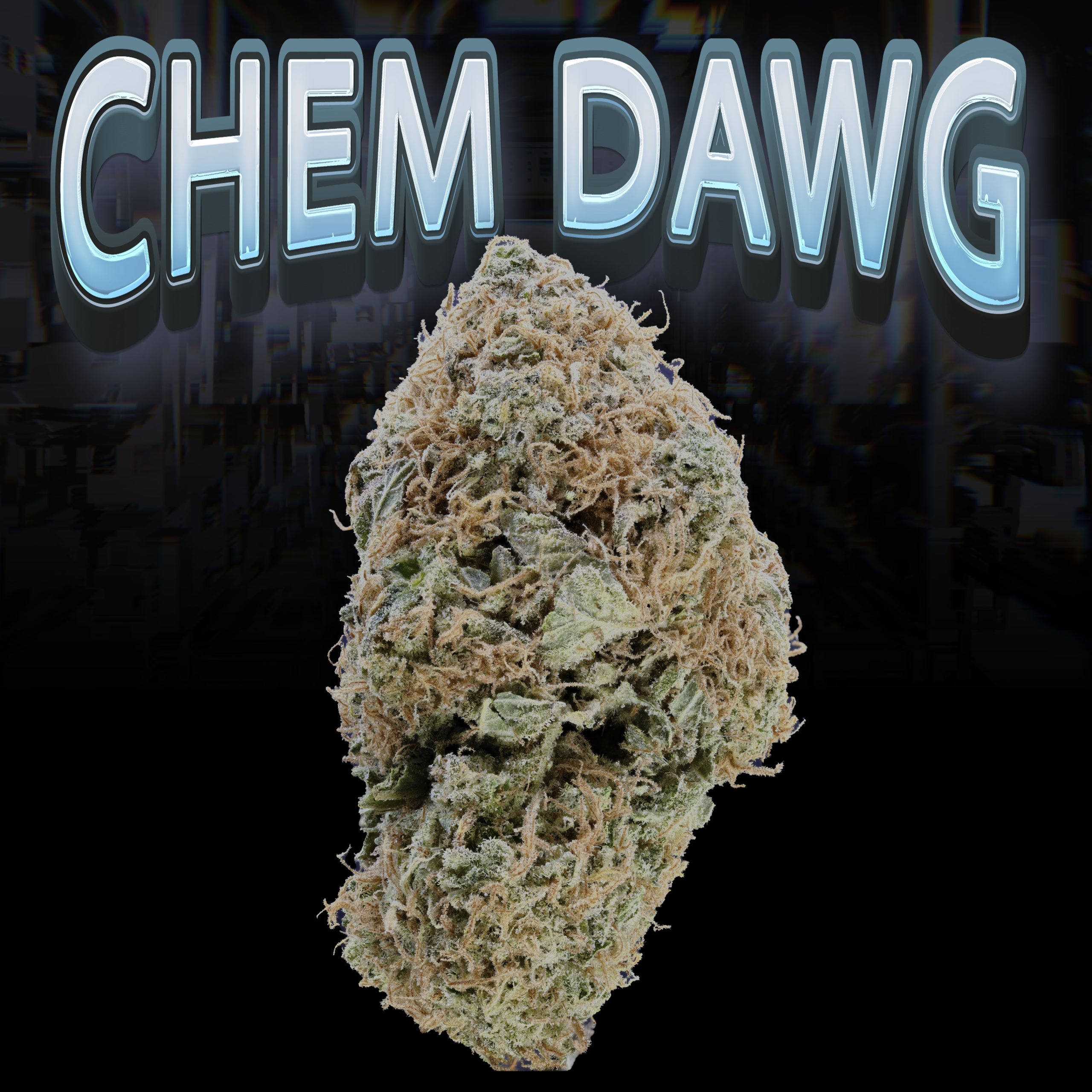 Chem Dawg Bud Pic